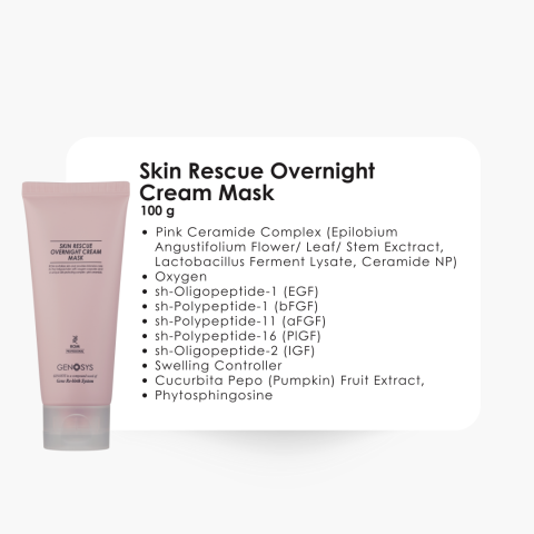 SKIN RESCUE OVERNIGHT CREAM MASK 100 G - ROM